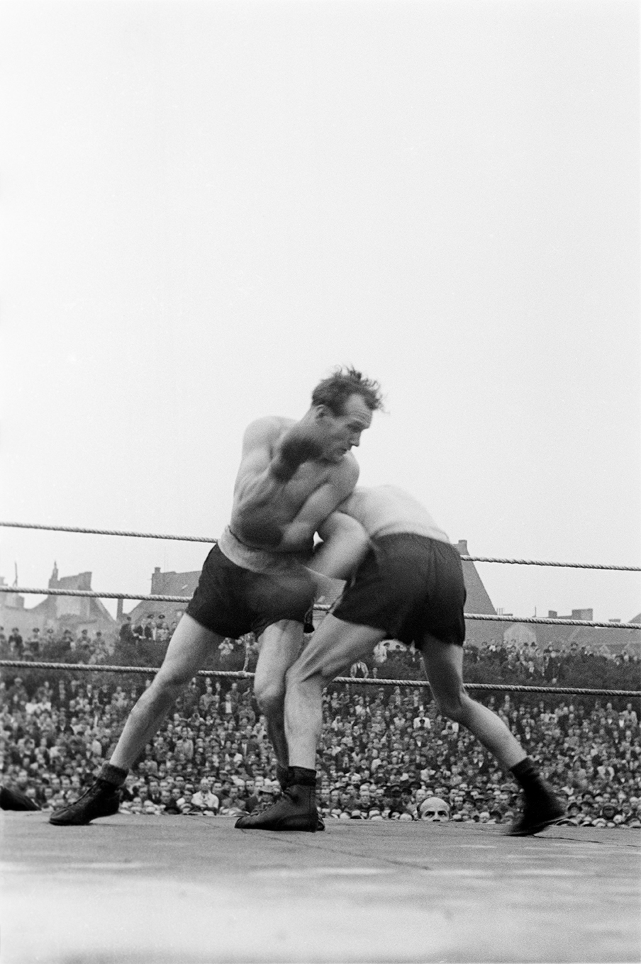 Zwei Boxer boxen