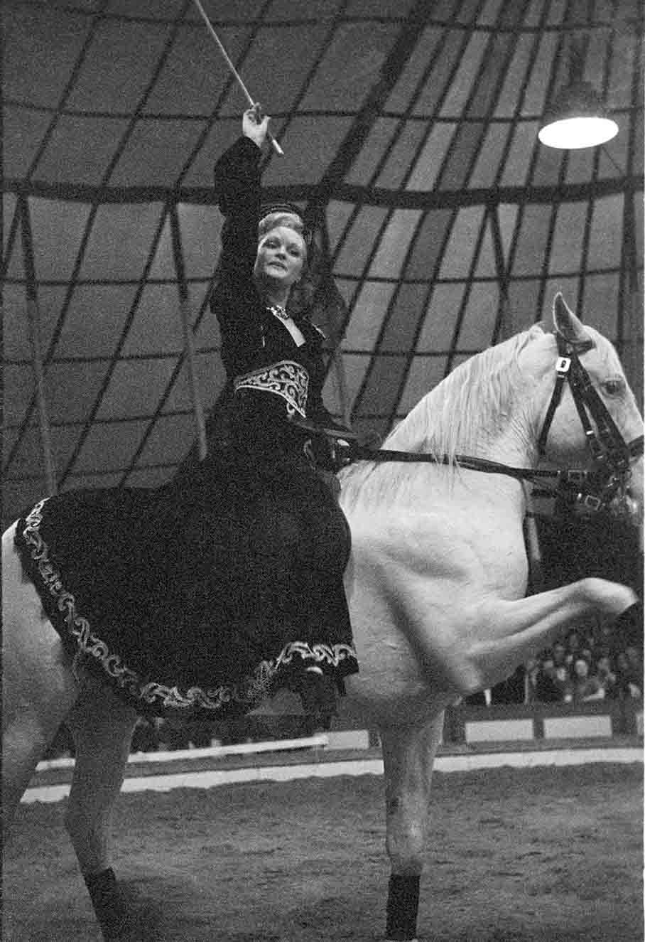Frau auf Pferd