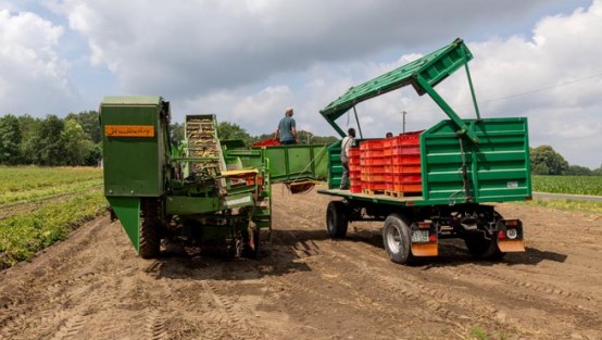 Ein Traktor mit Anhänger steht auf einem Feld