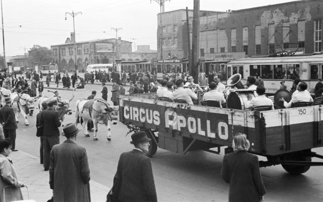 Wagen und Tiere des Circus Apollo ziehen durch Düsseldorf