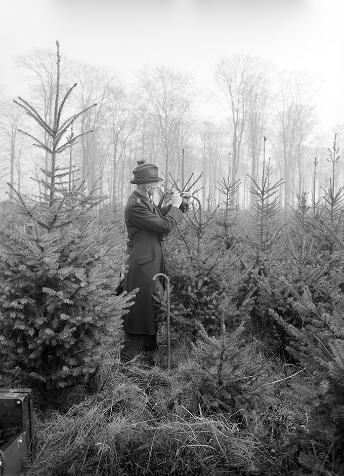 LVR-ZMB, K.-H. Hahn Ein Mann steht im Wald neben einem Nadelbaum.