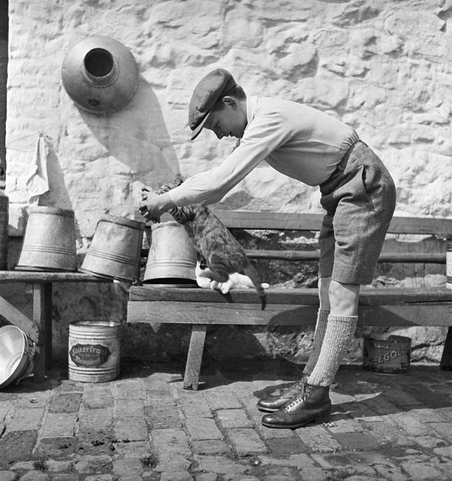 Ein Junge spielt mit einer Katze.