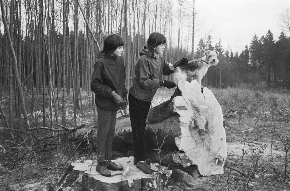 Zwei Mädchen stehen neben einem Baumstamm, auf dem ein Hund sitzt.