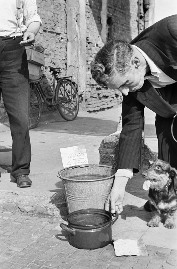 Ein Hund steht neben einem Wassernapf.