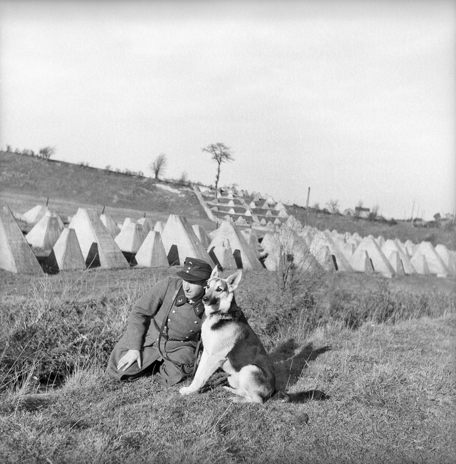 Ein Soldat kniet neben einem Hund.