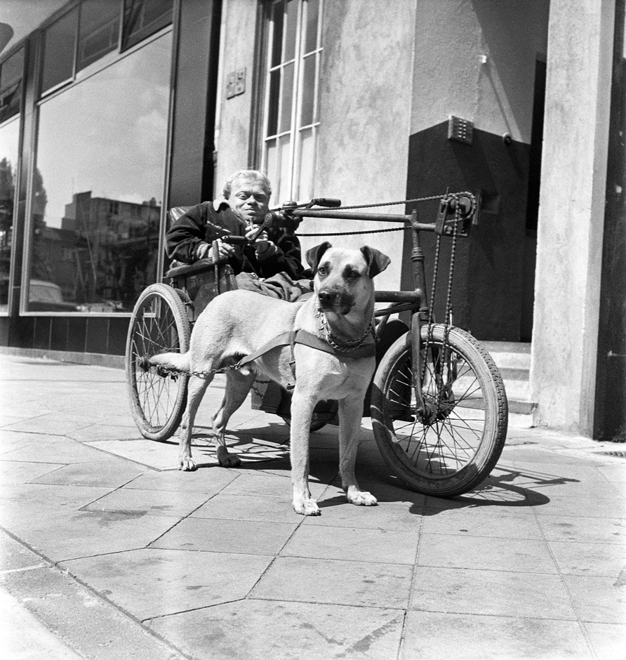 Ein Mann sitzt in einem Rollstuhl, neben dem ein Hund steht.