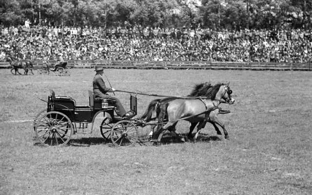 Eine Kutsche wird von zwei Ponys gezogen.