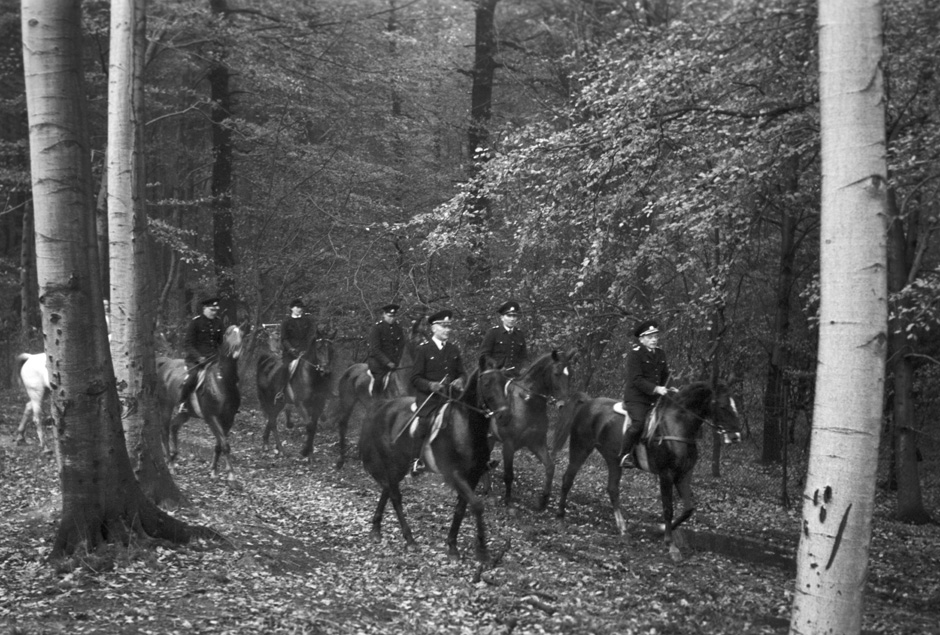 Männer auf Pferden reiten durch einen Wald.