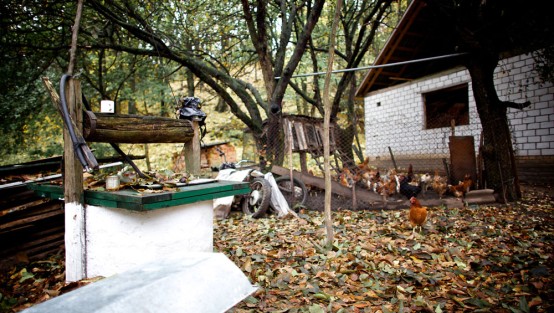 Ein verlaubter Garten mit Wasserbrunnen und einem Hühnerstall