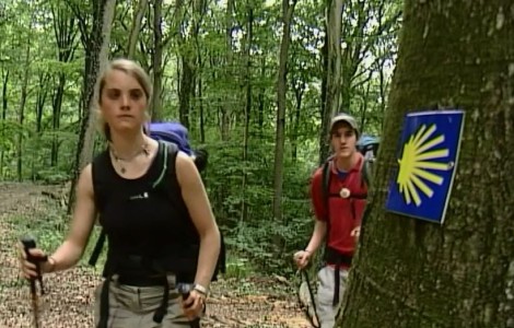 Frau und Mann im Wald, laufen an einem Baum mit Muschel-Logo vorbei