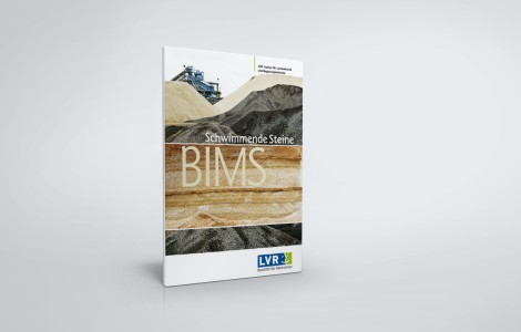 Coverbild - Schwimmende Steine