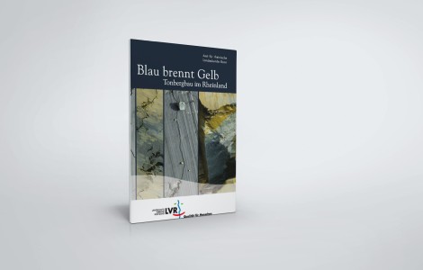 Coverbild - Blau brennt gelb