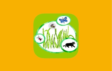 Grüner Hintergrund, ein großer Kreis. In dem großen Kreis sieht man Grashalme. Drei kleinere Kreise überschneiden den großen Kreis - mittig links, oben rechts und unten rechts. In diesen Kreisen ist ein Käfer (links), ein Schmetterling (oben) und eine Katze (unten).