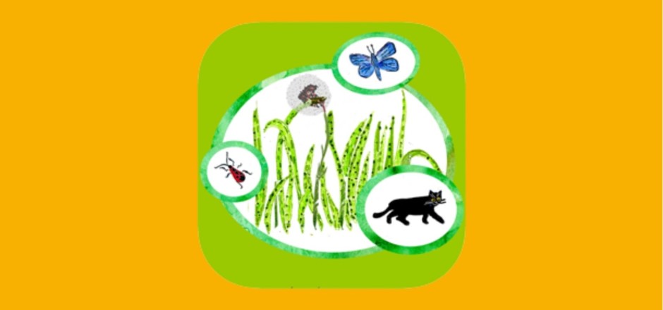 Grüner Hintergrund, ein großer Kreis. In dem großen Kreis sieht man Grashalme. Drei kleinere Kreise überschneiden den großen Kreis - mittig links, oben rechts und unten rechts. In diesen Kreisen ist ein Käfer (links), ein Schmetterling (oben) und eine Katze (unten).